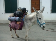 Un gîte à louer dans le village d\'Ostabat