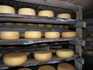 Découvrir le Pays Basque : les fromages de brebis Ossau Iraty